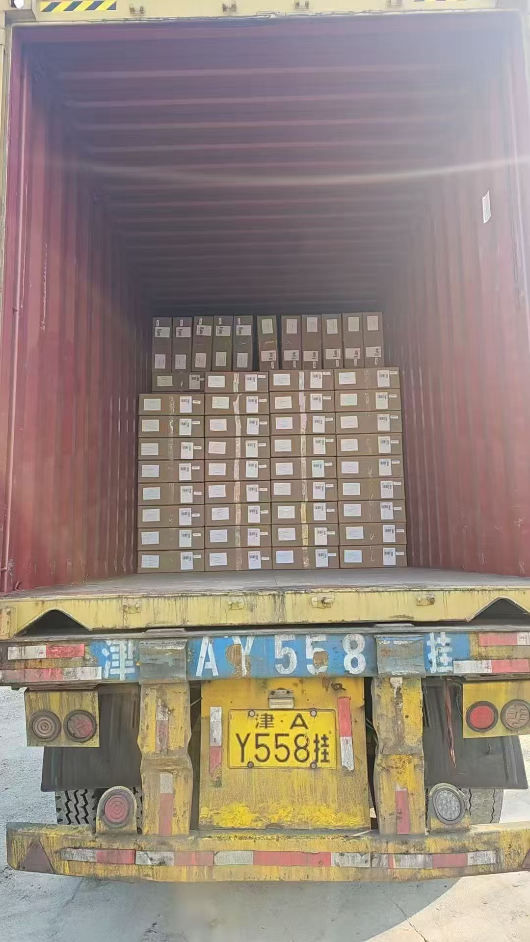 Global Shipping Coverage