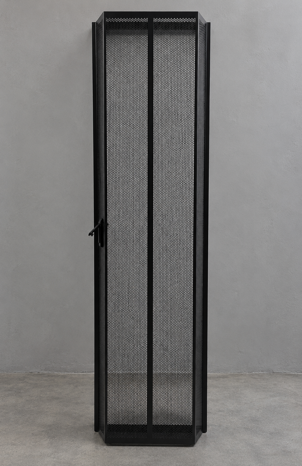 Custom network cabinet flat single mesh door
