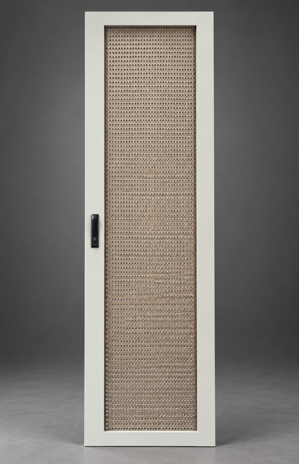 Single-Swing Acrylic Panel Door